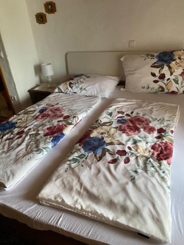 Apartma Jozica In Toncek Sveti Jurij ob Scavnici Exteriér fotografie